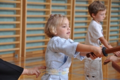 2014-18-Seishukai-016