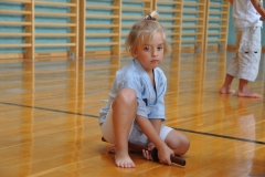 2014-18-Seishukai-021