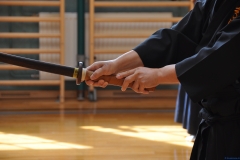 2014-18-Seishukai-033