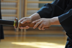 2014-18-Seishukai-034