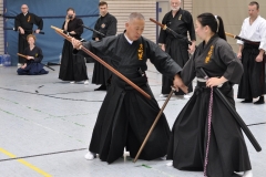 ds_DSC_0565