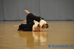 0155-budokan-tokyo