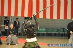 0163-budokan-tokyo