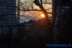 0055-katsuura-training